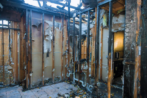 Professional Soot Cleanup technician working in Woodbine, NJ