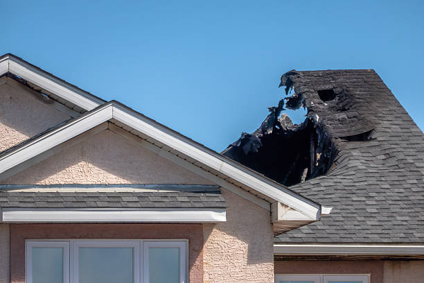 Top rated local Soot Cleanup specialists in Woodbine, NJ